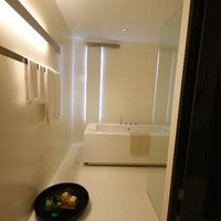 バスタブは可動式シャワーがあり便利。独立したシャワーブースも