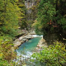 自然の中を歩けます