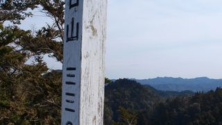 野生のニホンザルが生息しています