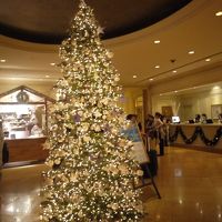 ロビーにはクリスマスツリーがあってホットワインが売ってた。