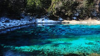 九寨溝の深奥。神秘の色の池。中国時代劇映画を見ているみたい。
