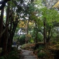 玄関からみた風景