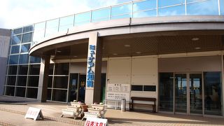 南薩摩の文化と歴史を紹介しています