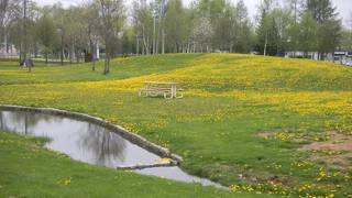 鳥の唐揚げが美味しい道の駅
