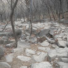  梵魚寺（ポモサ）から北門までの道です。