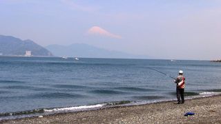 羽衣の松と富士山