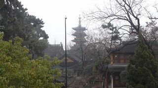 大きなお寺なので、見所はあるとは思うんですが・・・・