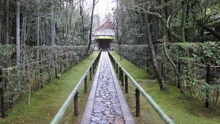 参道の雰囲気が素晴らしい