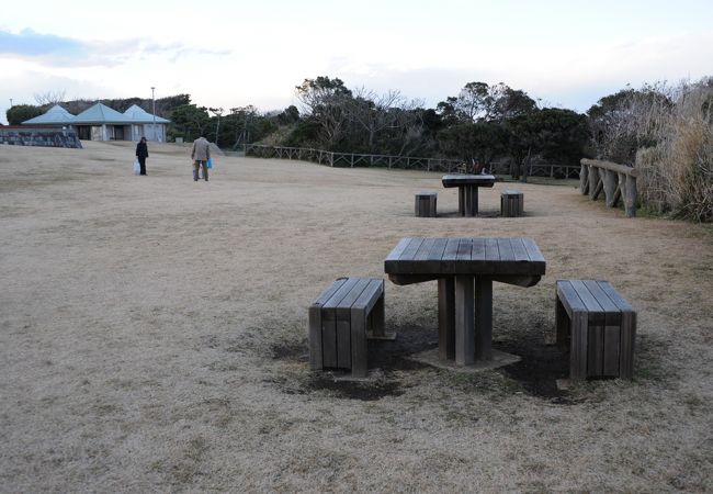 芝生の広場