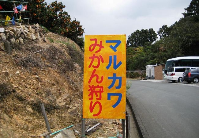 食べ放題とお土産