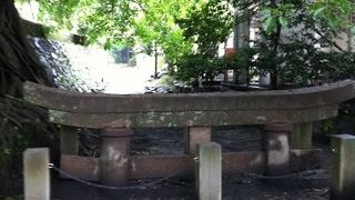 凄い自然を見ることができます