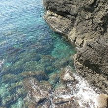 加賀海岸国定公園の越前岬