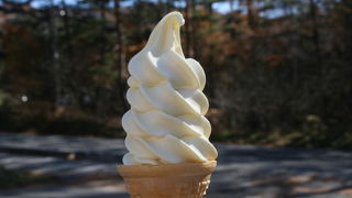 とうもろこしのアイスクリームをいただきました。