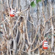 だるまの答えは、旅行記にあります。