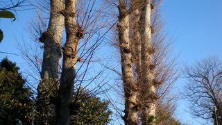 綺麗じゃないかもですが、”きれいだなあ”って感じます（住宅はお住まいですから留意ください）。