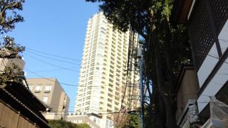 駆け上ってみたくなる坂です