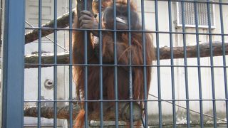 旭川の絶景ポイントはここ！