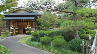 紅葉山庭園に癒やされる