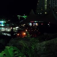 野外ステージショー