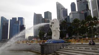 大きくなった～