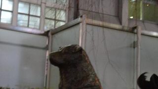 定番の待ち合わせスポット