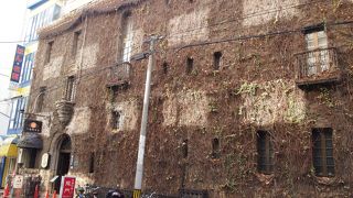 建物の壁面を蔦が覆う青山ビル