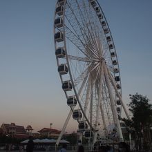 2人で1500ﾊﾞｰﾂもする高額な観覧車！