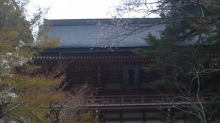 結構傾斜が厳しい