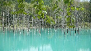 青と言うより青白かった