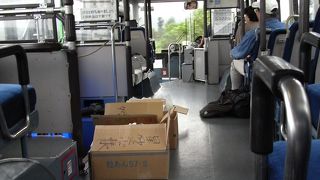 バス停でない場所でも乗降可能です　＠西表島の路線バス