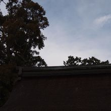 国宝の拝殿の屋根です