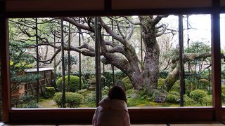 大原行ったら必ず立ち寄りましょう