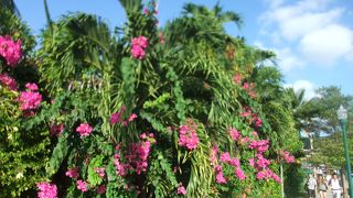 メインストリート