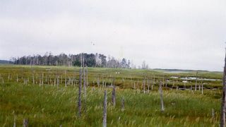 ネイチャーセンターで勉強してから