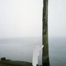 湖畔の立ち枯れた木