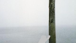 春先にはハクチョウが飛来