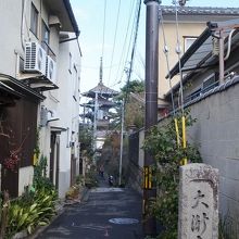 八坂の塔が見えます