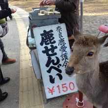 早くちょうだい！