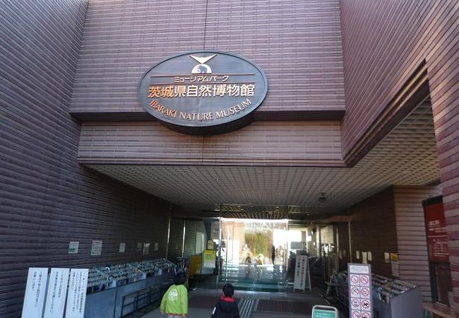 ミュージアムパーク茨城県自然博物館 クチコミ アクセス 営業時間 常総 坂東 フォートラベル