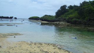 魚いっぱい！！