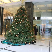 玄関前の綺麗なクリスマスツリー