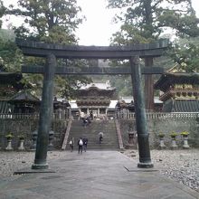 ここら辺だと思いますよ。パワー全開！