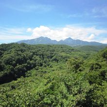 八ヶ岳高原