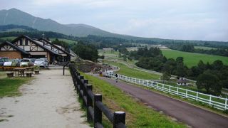 緑の丘で動物と触れあえる公園