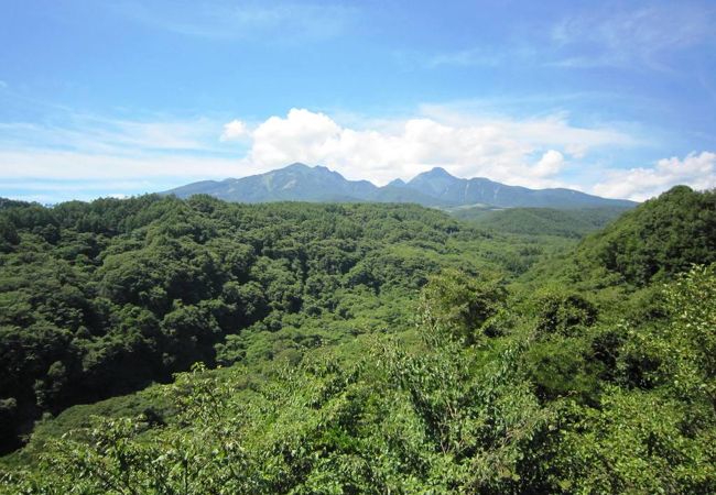 八ヶ岳高原