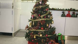 クリスマスシーズンには、当然、クリスマスツリーを数か所、置いてます、とくに