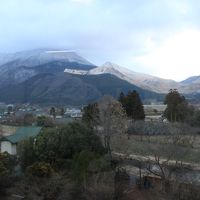 由布岳と桜並木