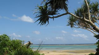 浜辺で遊んだり、ゆっくりしたい人にはお奨め