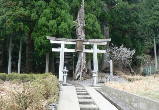 大皇器地祖神社