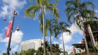 ここは使えます！